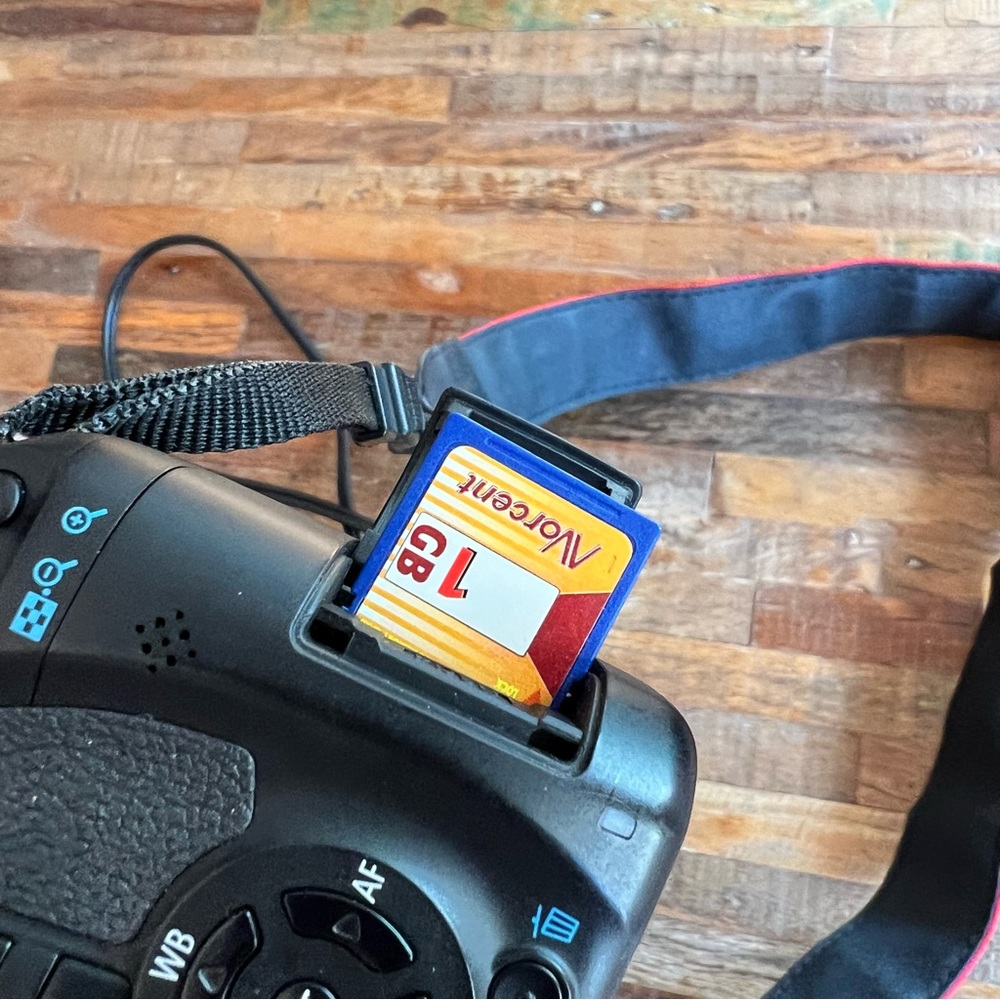 Canon EOS Rebel T2i DSLR Camera with EF-S 18-55mm f/3.5-5.6 IS Lens - Picture 9 of 10
